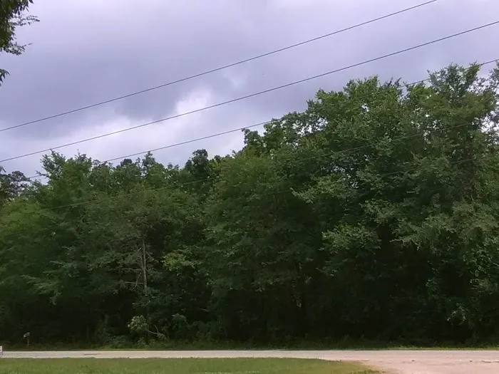 Little Quiet RV Park 3