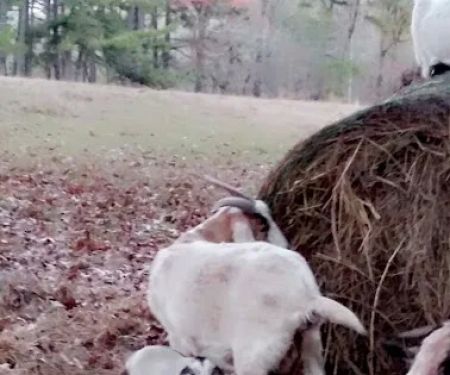 J B's RV Park & Campground