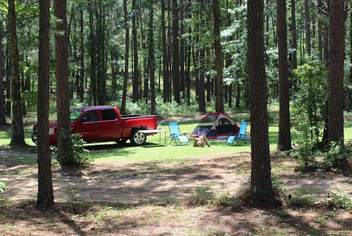 Totality 3:51 Eclipse 2024 Camping 8