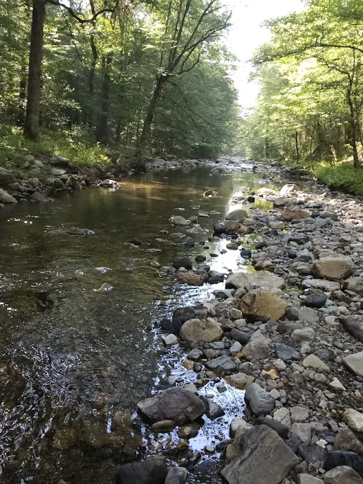 Bard Springs 6