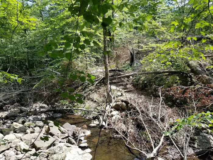 Bard Springs 5