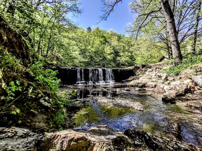 Bard Springs 8