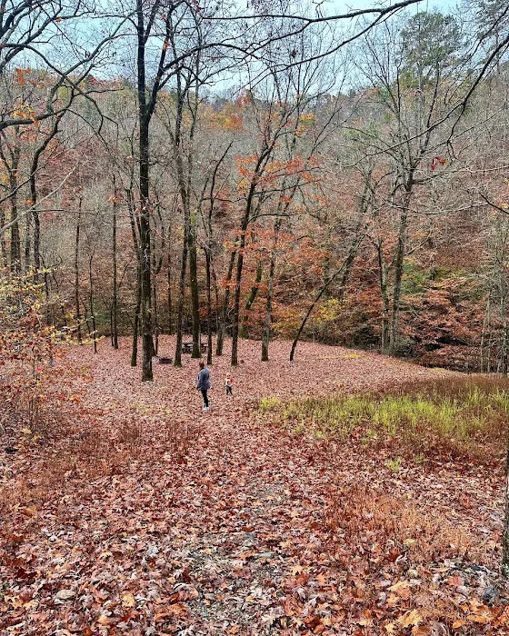 Bard Springs 9
