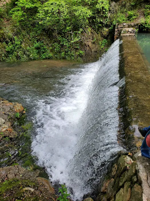 Bard Springs 1