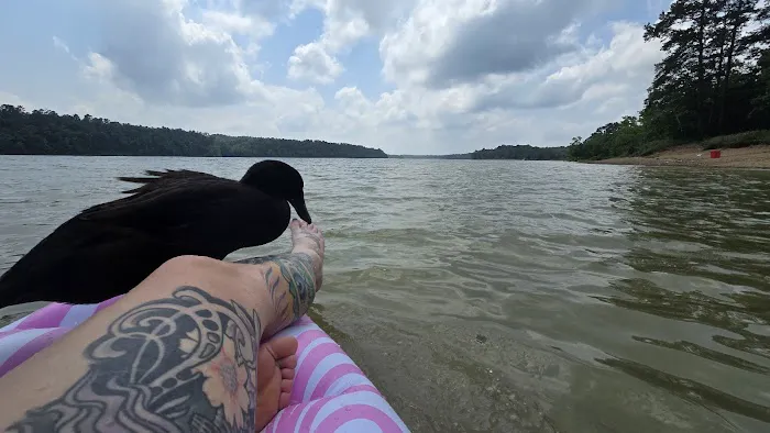 Lake Greeson Campgrounds 1