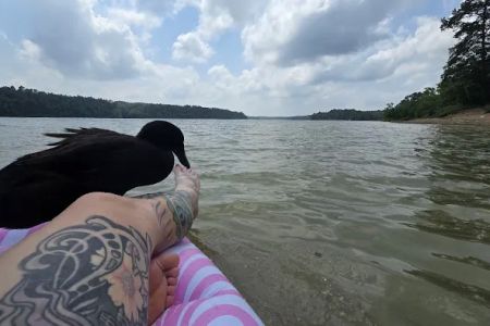Lake Greeson Campgrounds