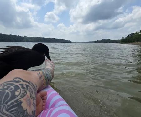 Lake Greeson Campgrounds