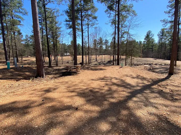 Kick it Back Cabins and RV Park 4