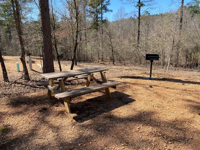 Kick it Back Cabins and RV Park 6