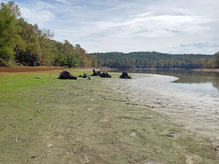 Recreation Area With Campground 6