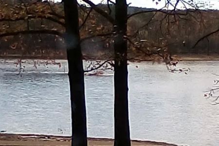 Recreation Area With Campground