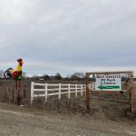 The Ugly Rooster RV Park & Cabins, LLC.