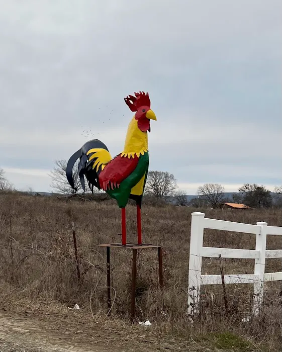 The Ugly Rooster RV Park & Cabins, LLC. 8