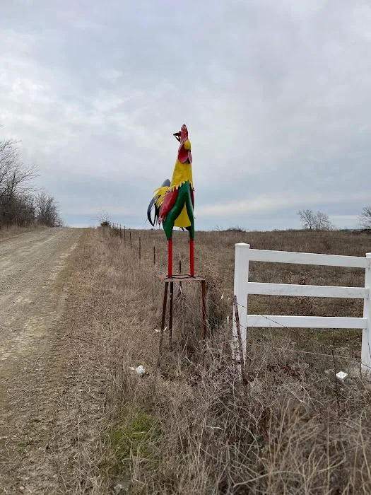 The Ugly Rooster RV Park & Cabins, LLC. 4