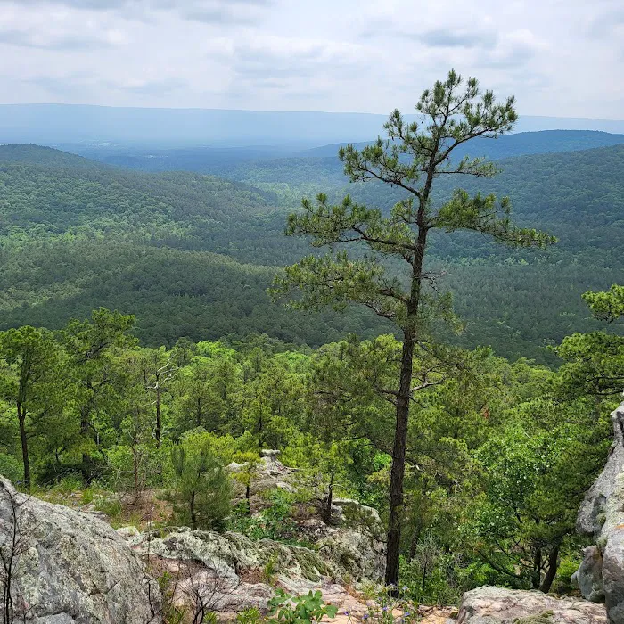 Billy Creek Recreation Area 8