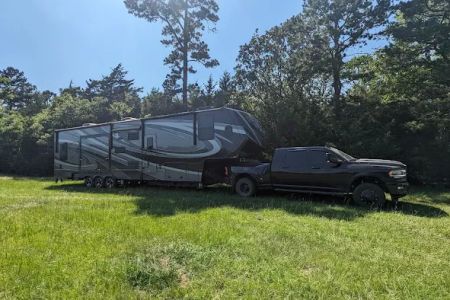 Piney Paradise