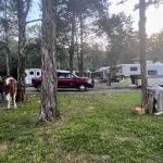 Half Ass Acres