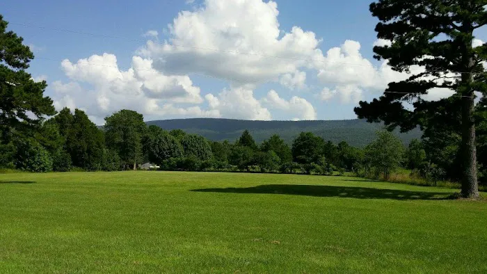 Big Cedar Cabins & RV Park 1