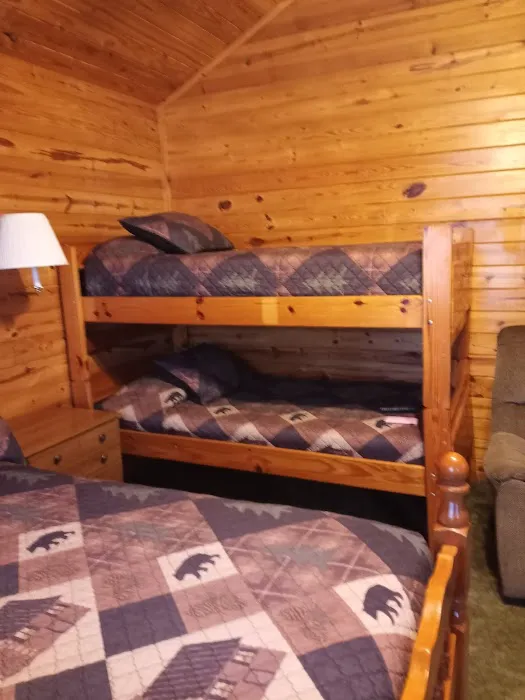 Big Cedar Cabins & RV Park 3