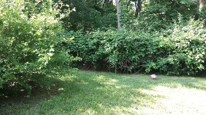 Doc's Park 5