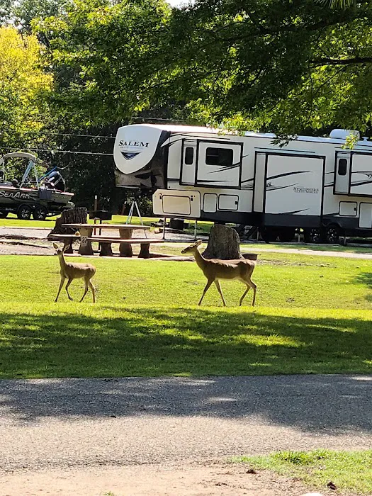 Walnut Creek Park COE 2
