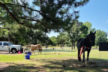 Walnut Creek Park COE