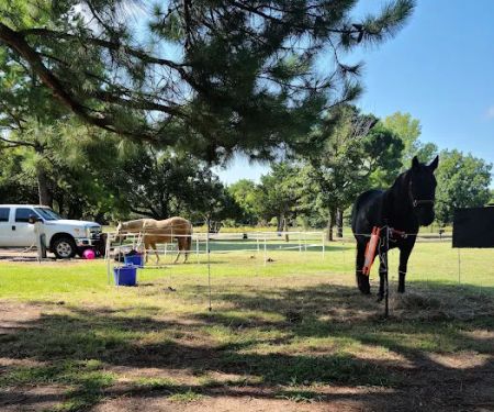 Walnut Creek Park COE