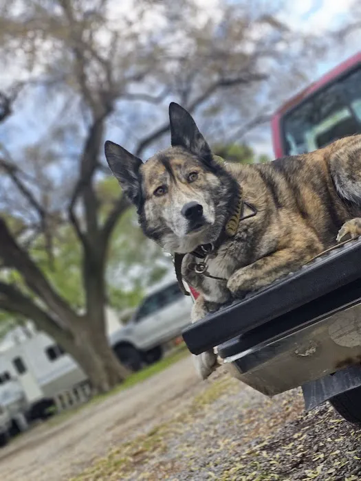Apache Pines RV Park 1