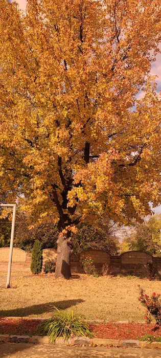 Estes Park 5