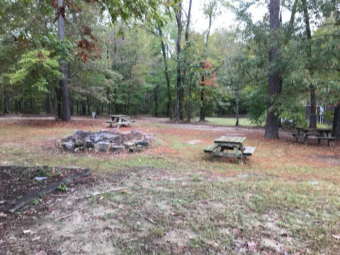 Bar Fifty RV Park & Horse Camp 1