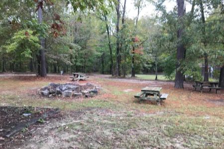Bar Fifty RV Park & Horse Camp