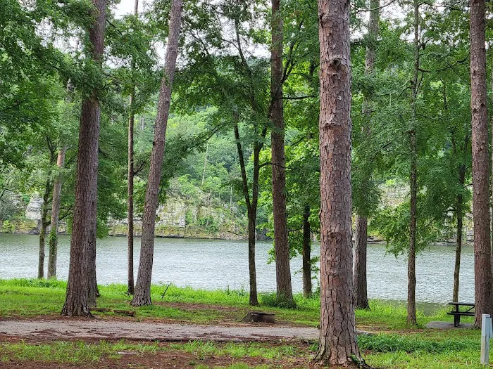 Point Cedar Campground 2