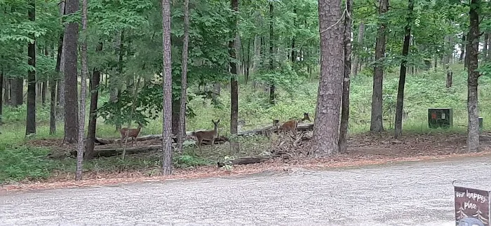 Brushy Creek Campground 1