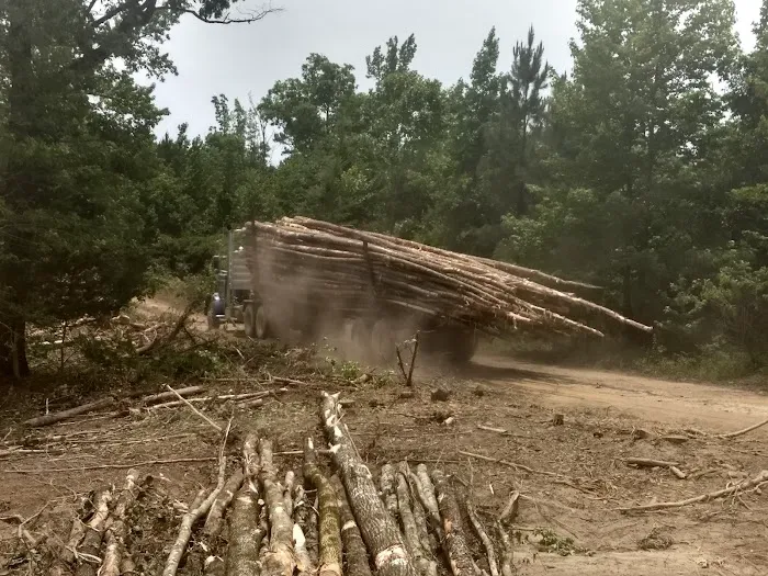 Brushy Creek Campground 2