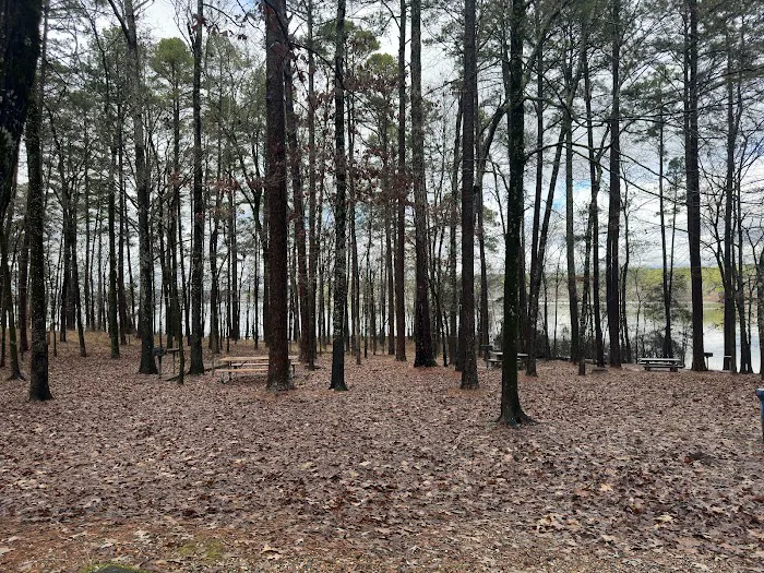 Caddo Drive Campground 4