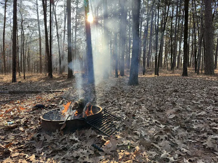 Caddo Drive Campground 2