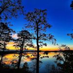 Caddo Drive Campground