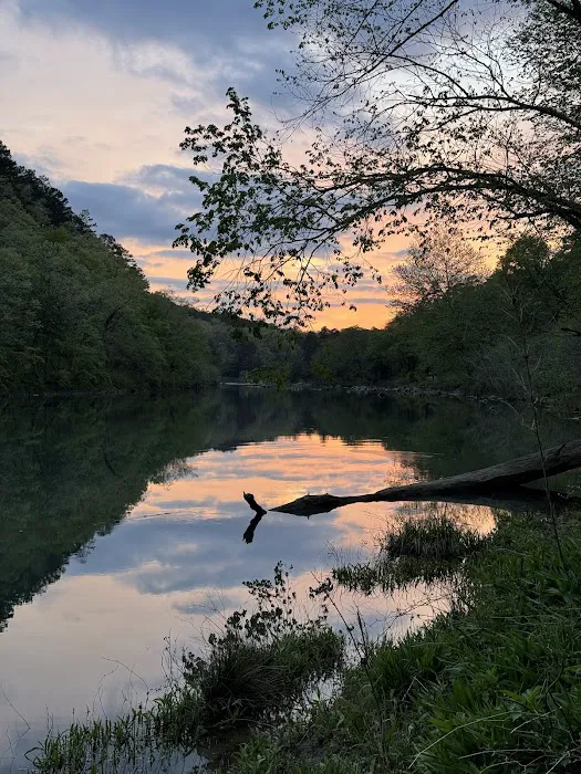 Cossatot Falls Campground 10