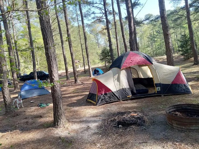 Miners' Camping 3