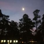 Red Bud Campground