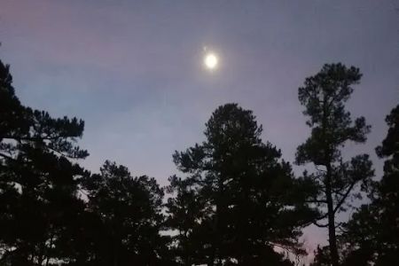Red Bud Campground