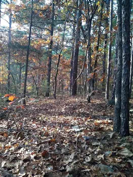 Camp Ground #2 1