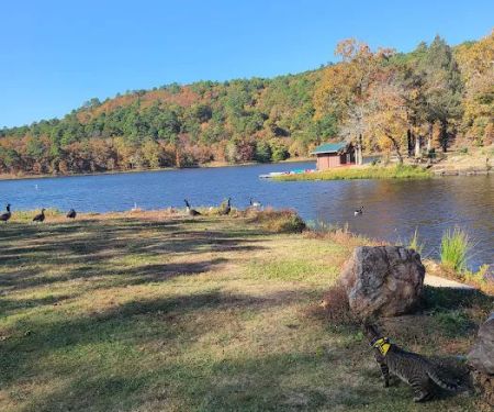Bobcat Crossing Campground