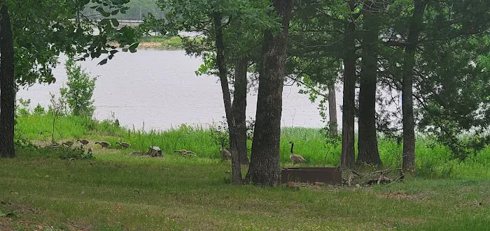 Potato Hills Central Campground 6
