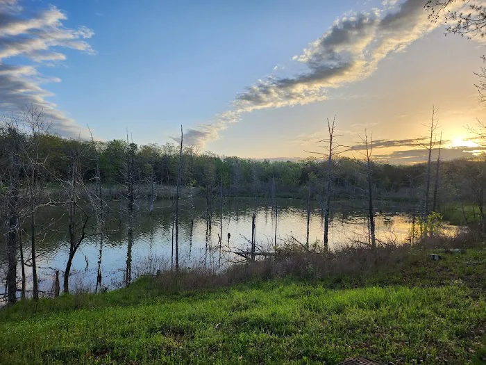 Potato Hills Central Campground 9