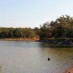 Potato Hills Central Campground