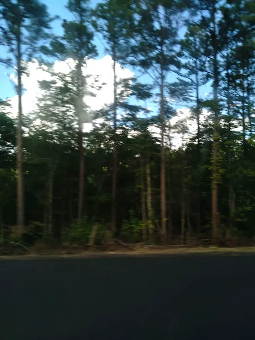 Kiamichi Lodge 2