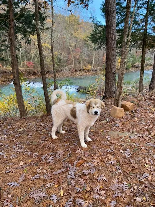 Cucumber Creek RV Park 5