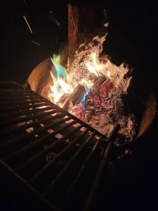 Catfish Alley Campground 2