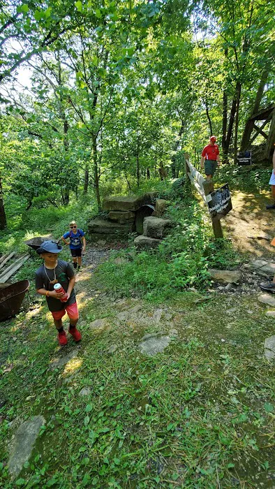 Cub World Campfire Arena 6
